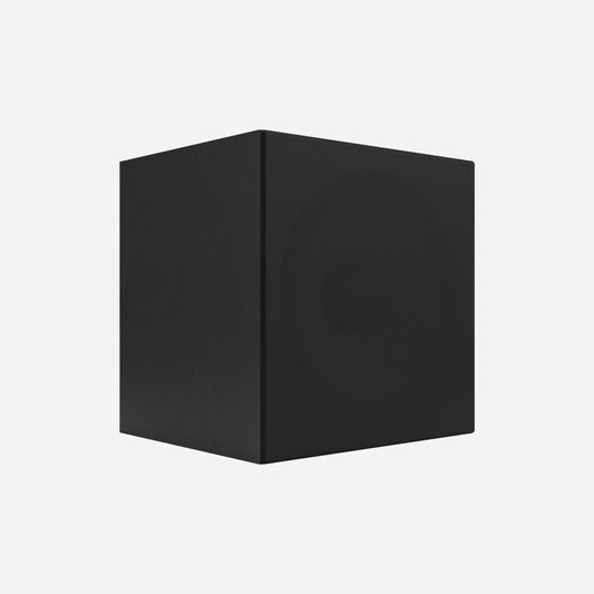 Carabat Speaker Casing