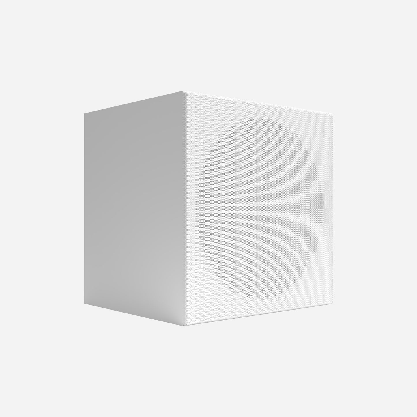 Carabat Speaker Casing